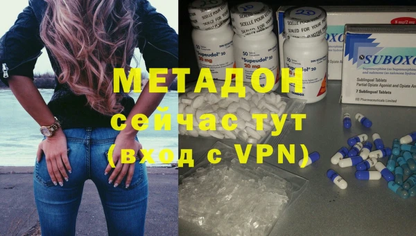 сатива Аркадак