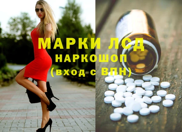 сатива Аркадак