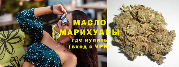 сатива Аркадак
