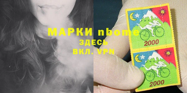 сатива Аркадак