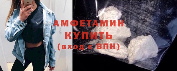сатива Аркадак