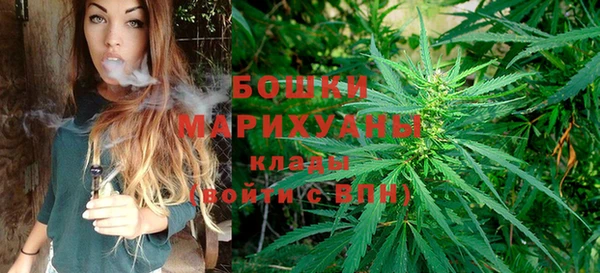 винт Арсеньев