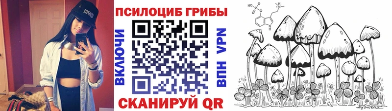 Псилоцибиновые грибы GOLDEN TEACHER  Купить закладки  Болохово 