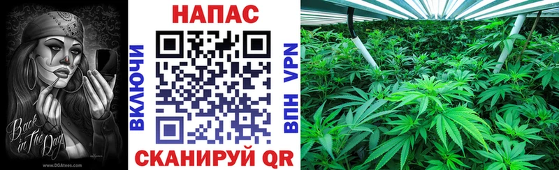 Купить  Болохово  Шишки марихуана индика 